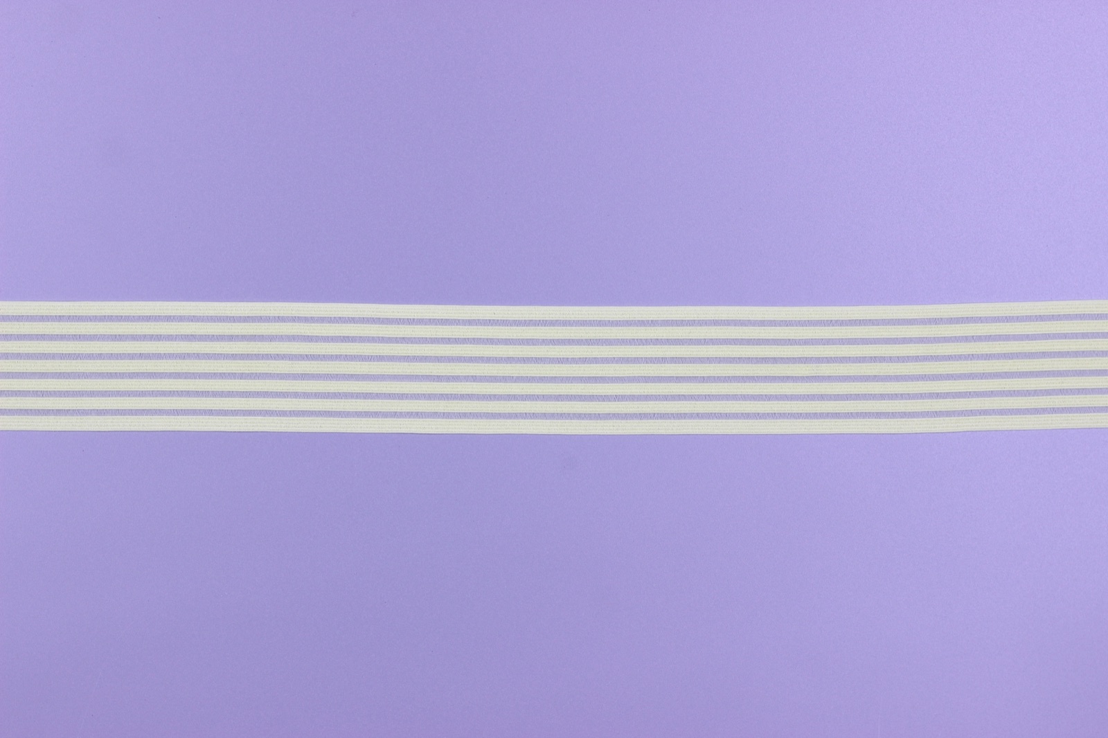 50216 | Elastic Webbing - Back